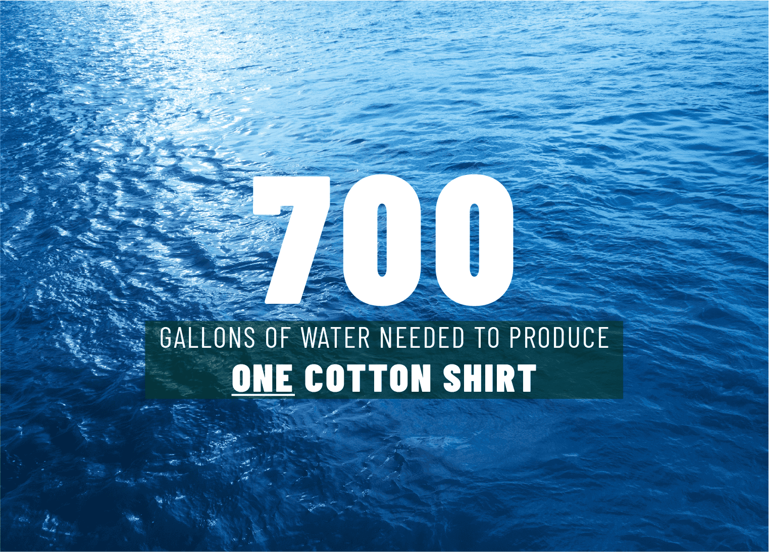 700 gallons of water needed to produce one cotton shirt.